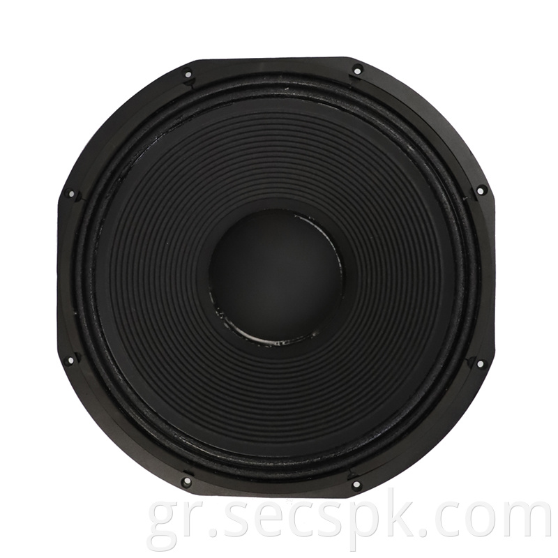 8ohm Stage Concert Speaker